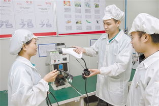 技術(shù)賦能未來 江門數(shù)字化發(fā)展的新篇章